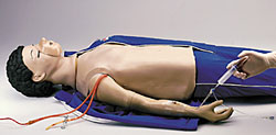 Geri™ The Nursing Skills Manikin Life/form® IV Arm